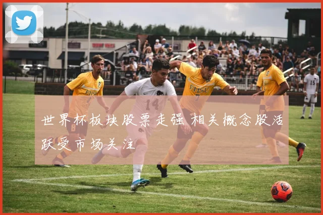 世界杯板块股票走强 相关概念股活跃受市场关注
