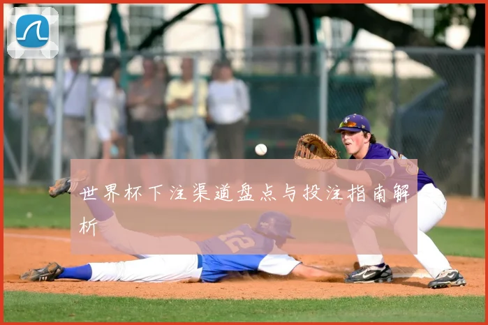 世界杯下注渠道盘点与投注指南解析