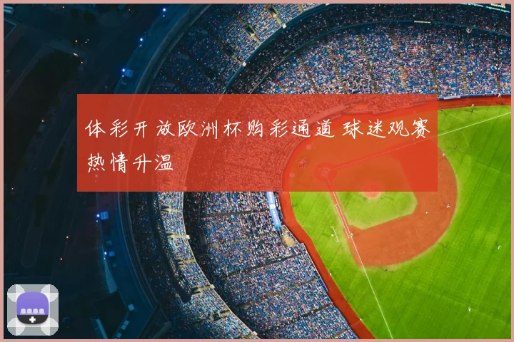 体彩开放欧洲杯购彩通道 球迷观赛热情升温