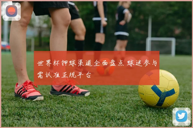 世界杯押球渠道全面盘点 球迷参与需认准正规平台