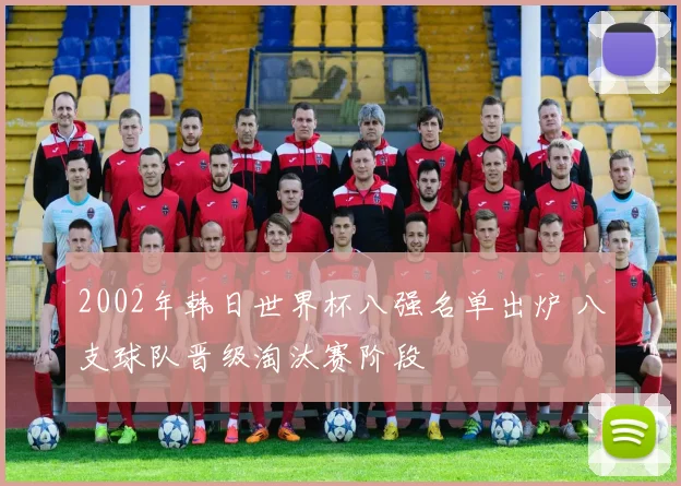 2002年韩日世界杯八强名单出炉 八支球队晋级淘汰赛阶段