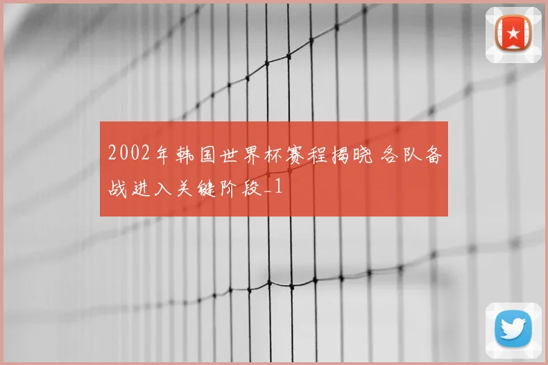 2002年韩国世界杯赛程揭晓 各队备战进入关键阶段_1