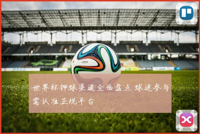 世界杯押球渠道全面盘点 球迷参与需认准正规平台