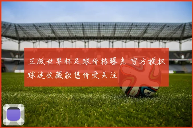 正版世界杯足球价格曝光 官方授权球迷收藏款售价受关注