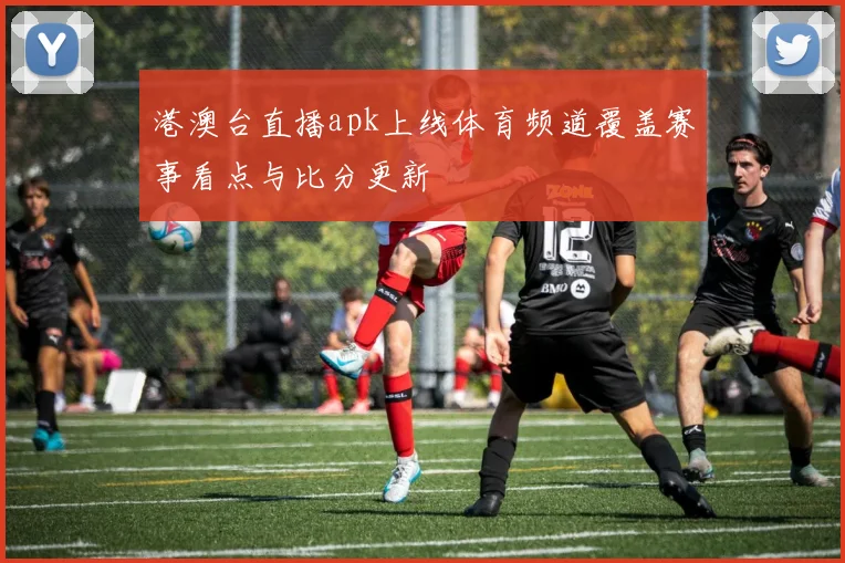 港澳台直播apk上线体育频道覆盖赛事看点与比分更新