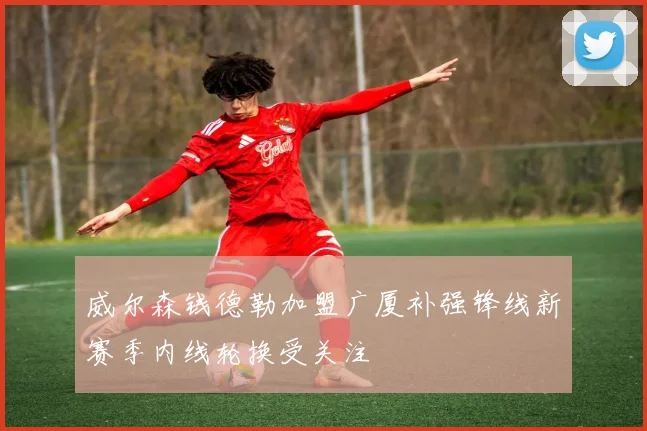 威尔森钱德勒加盟广厦补强锋线新赛季内线轮换受关注